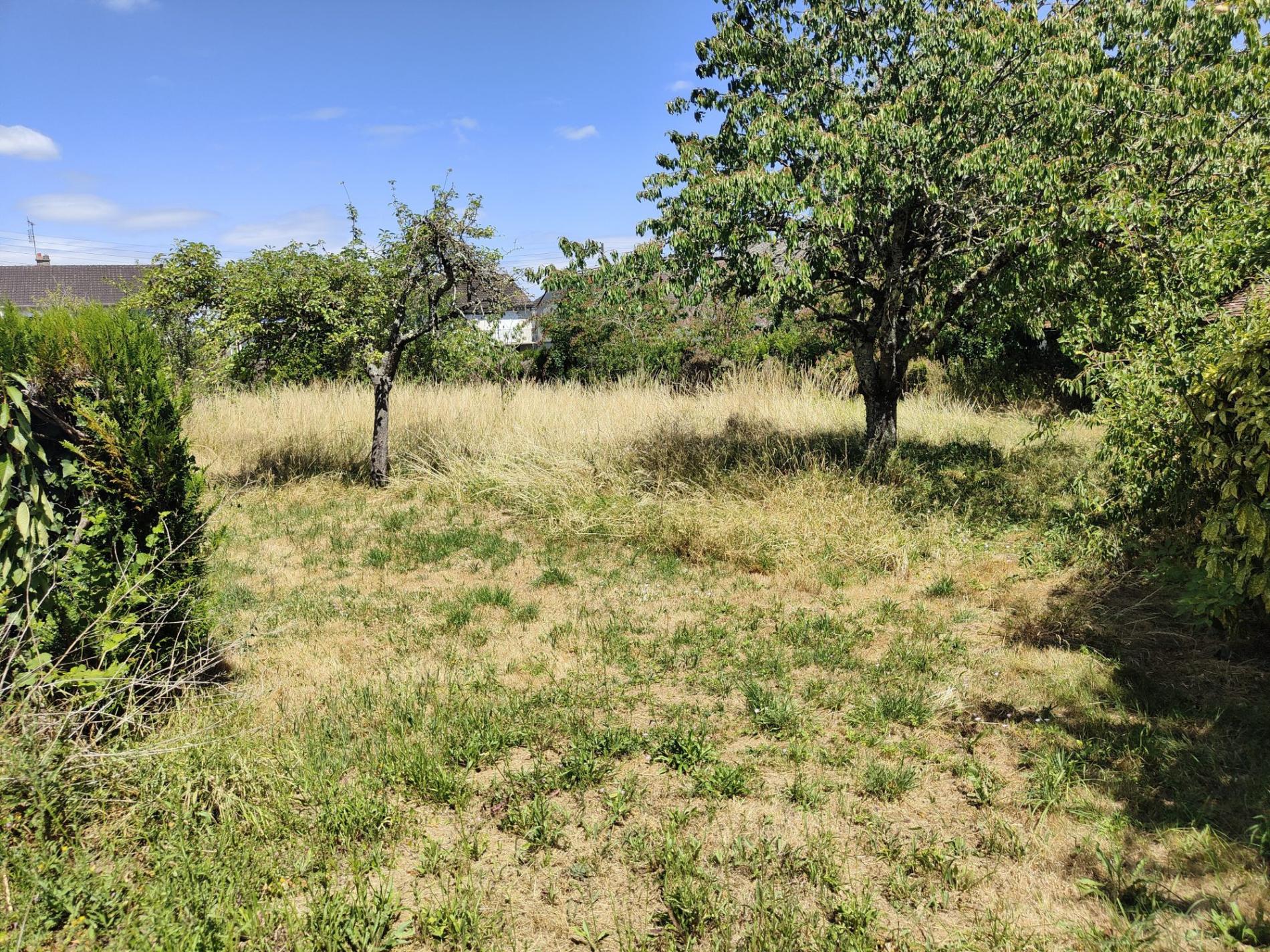Ensemble de deux maisons de ville avec jardin !