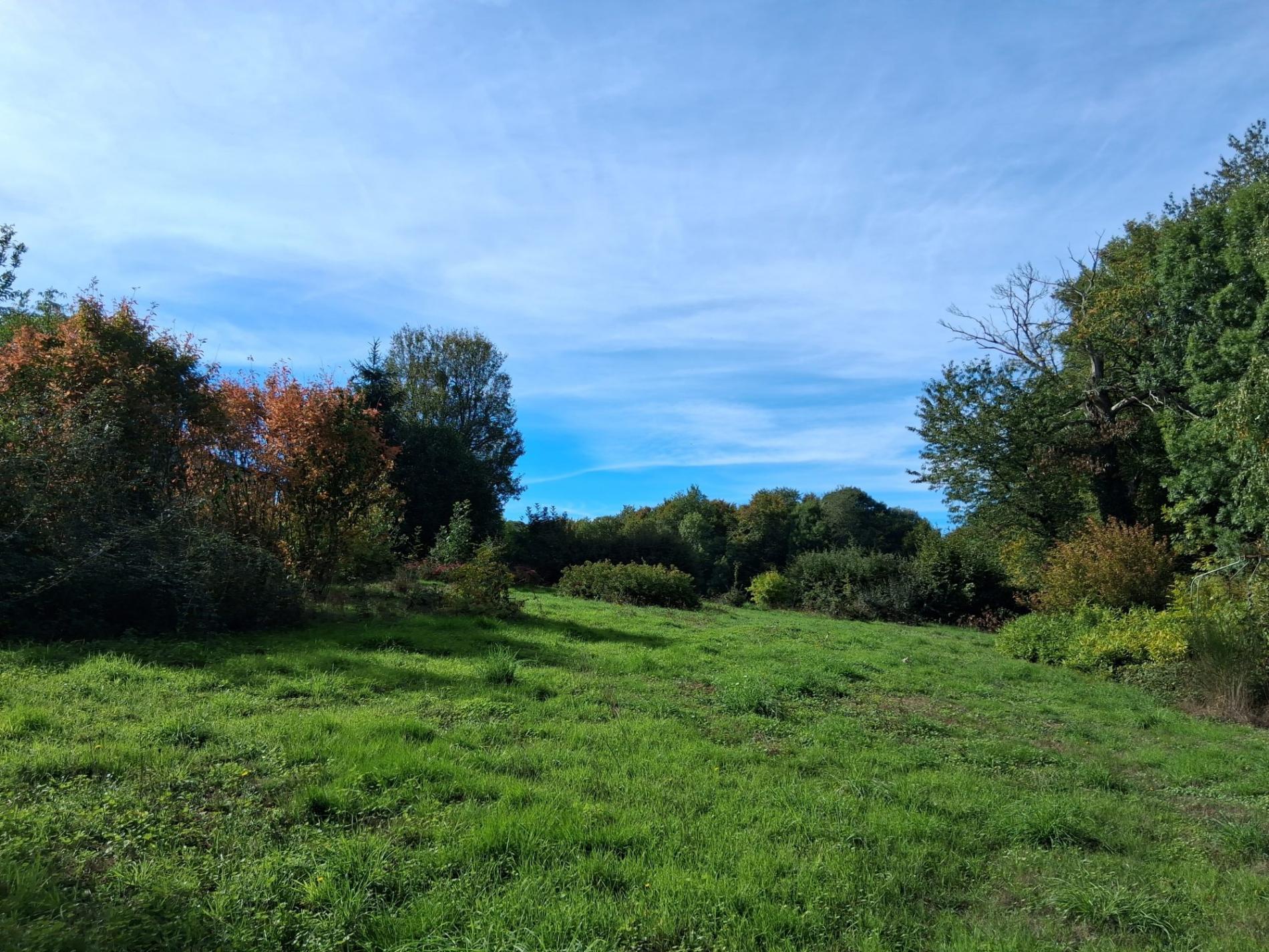 Propriété isolée au bout d'un chemin !