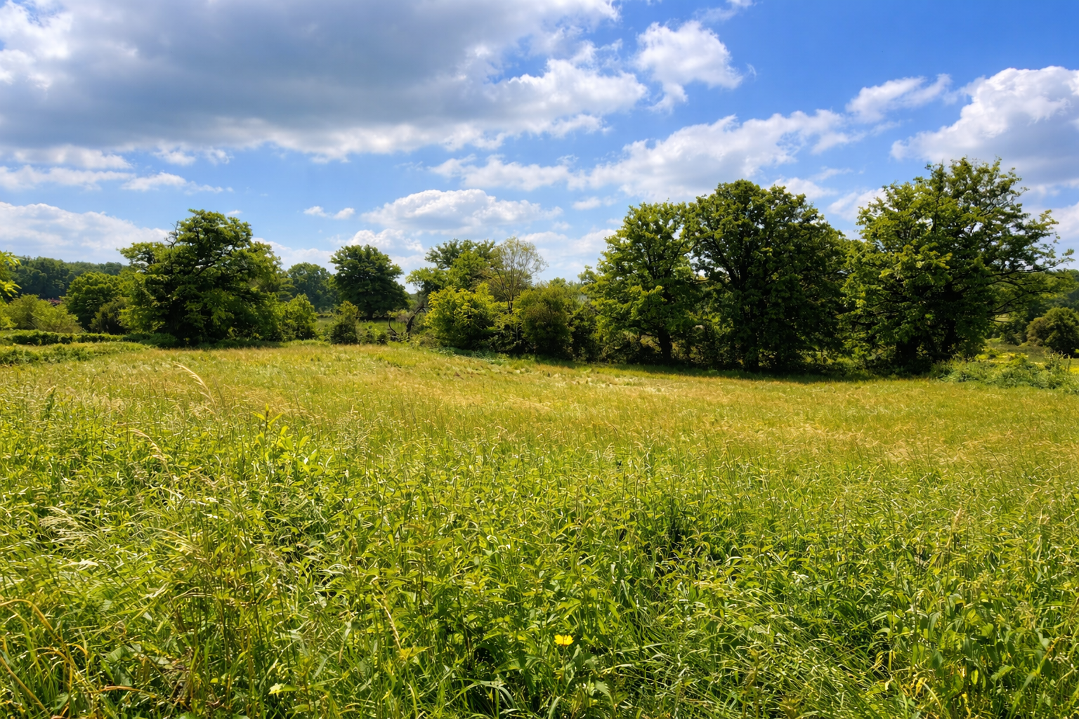 Maison de campagne !