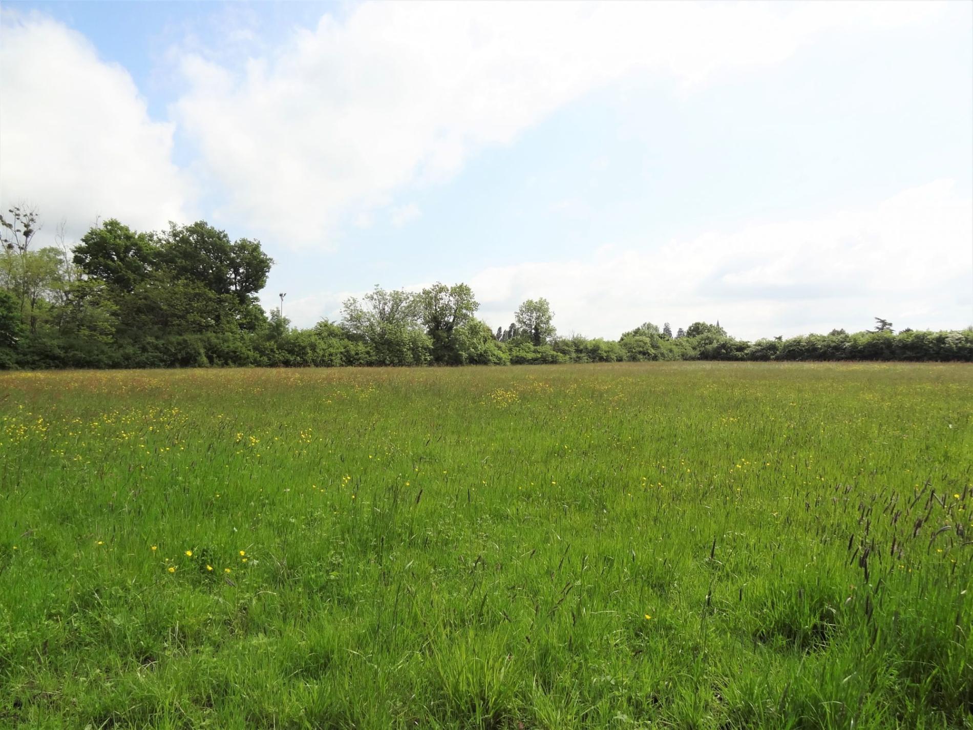 Terrain constructible proche centre !