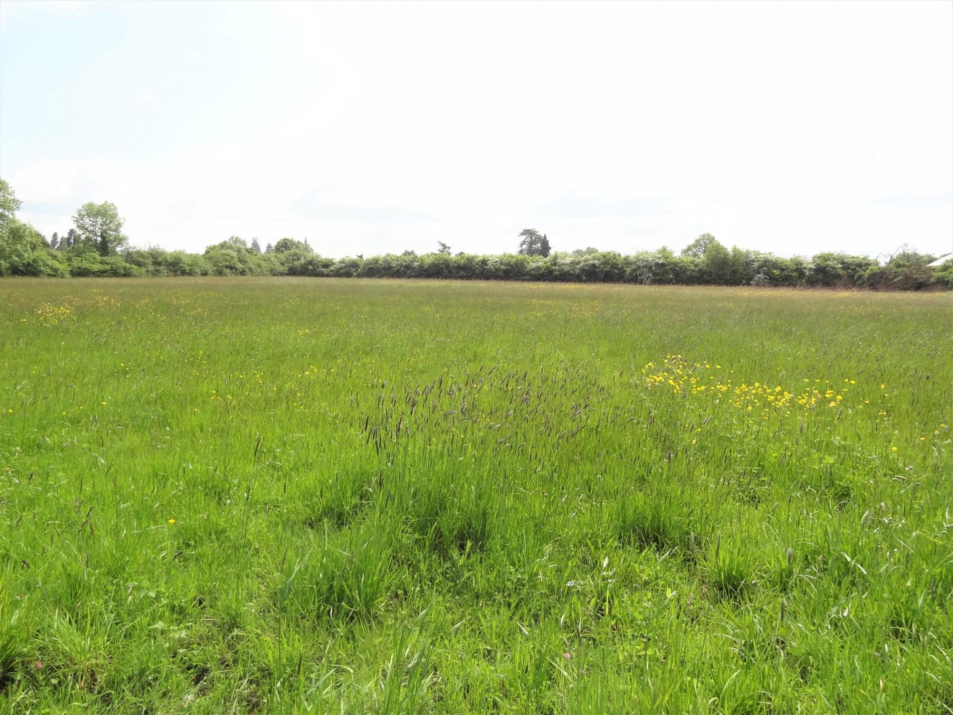 Terrain constructible proche centre !