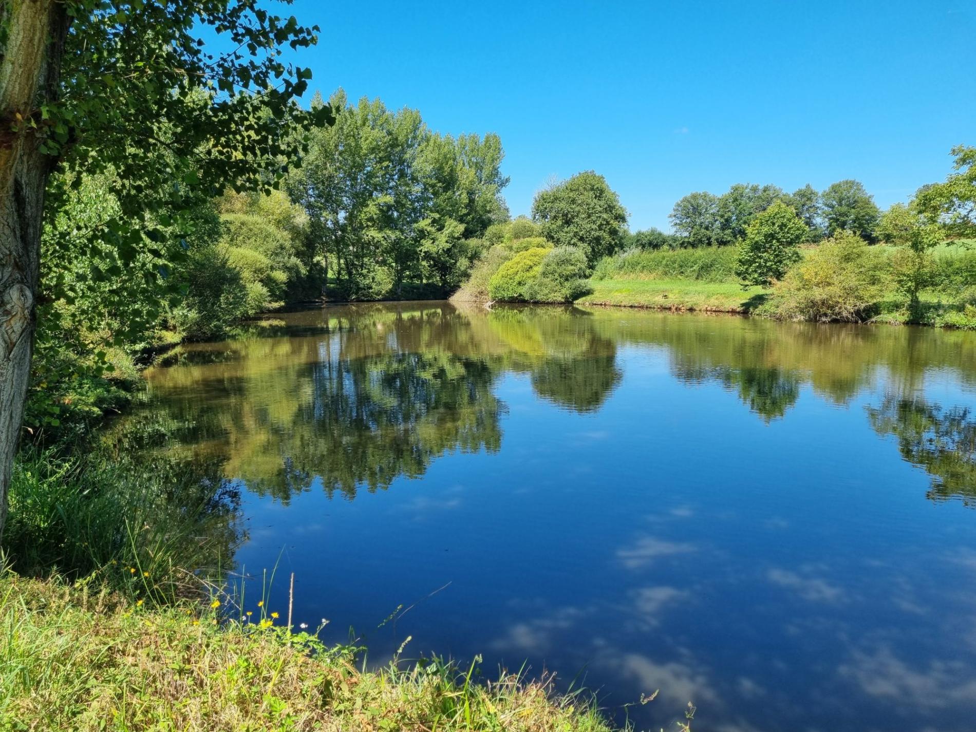 Deux étang isolés !