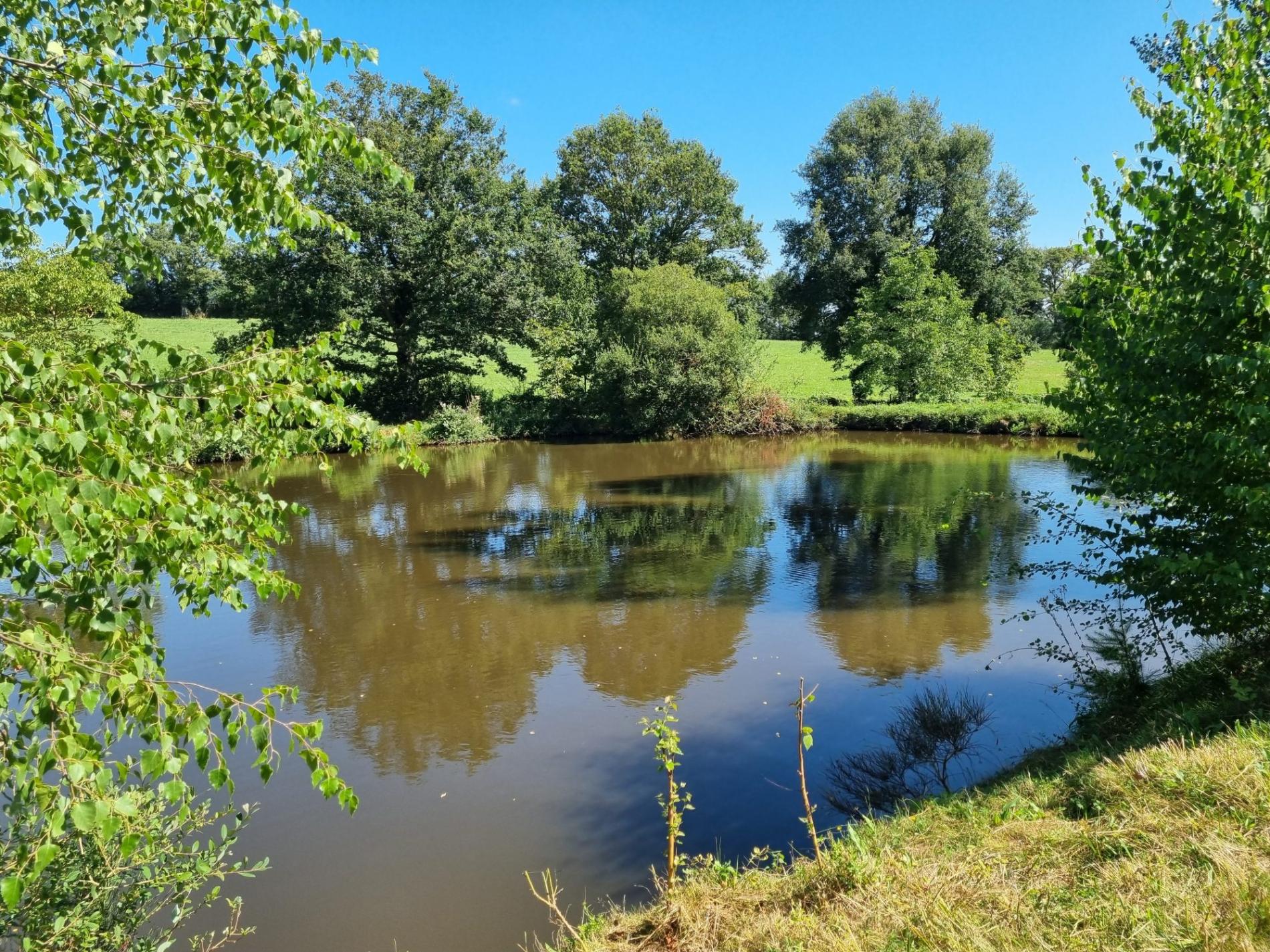 Deux étang isolés !