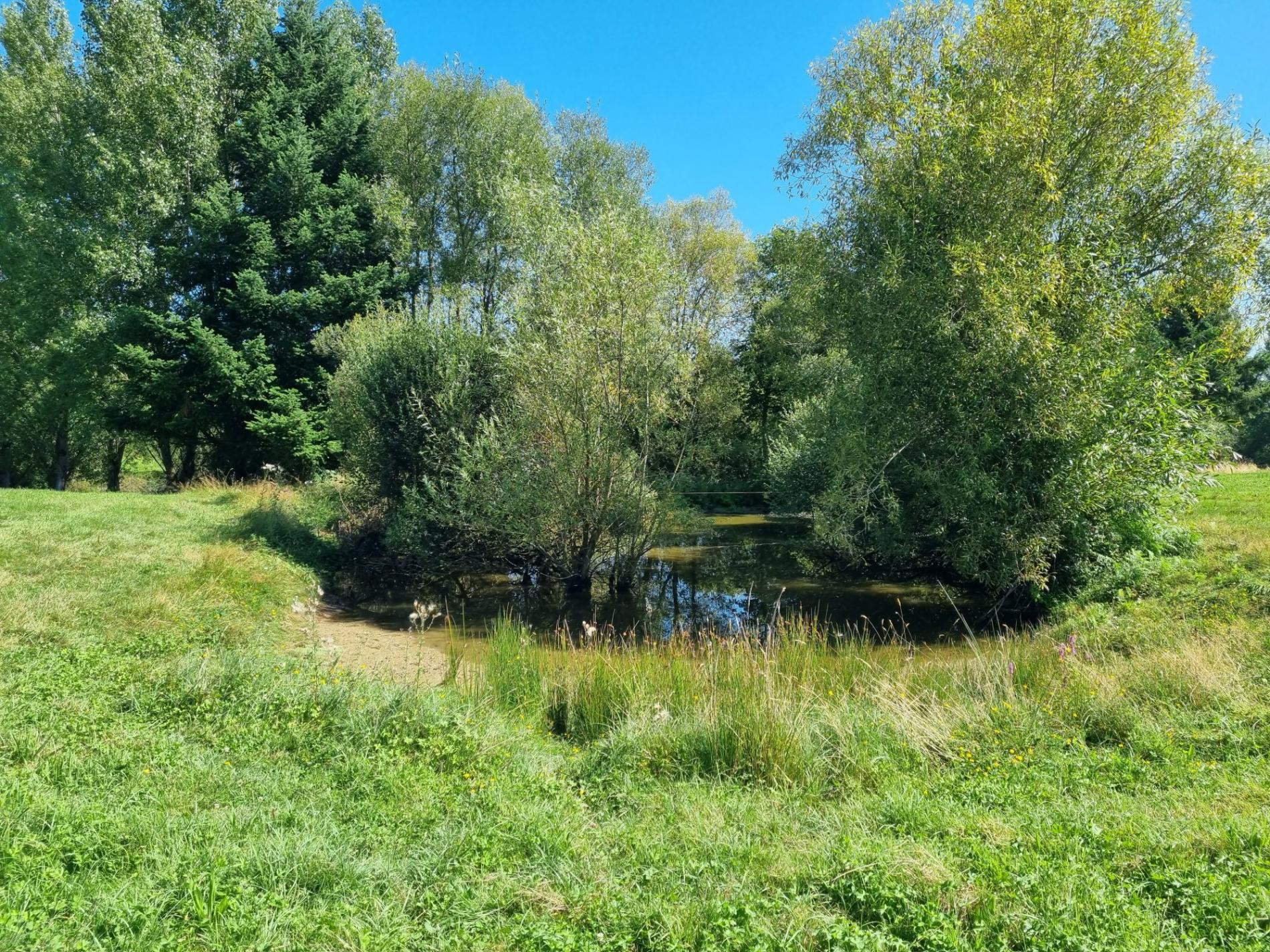 Deux étang isolés !