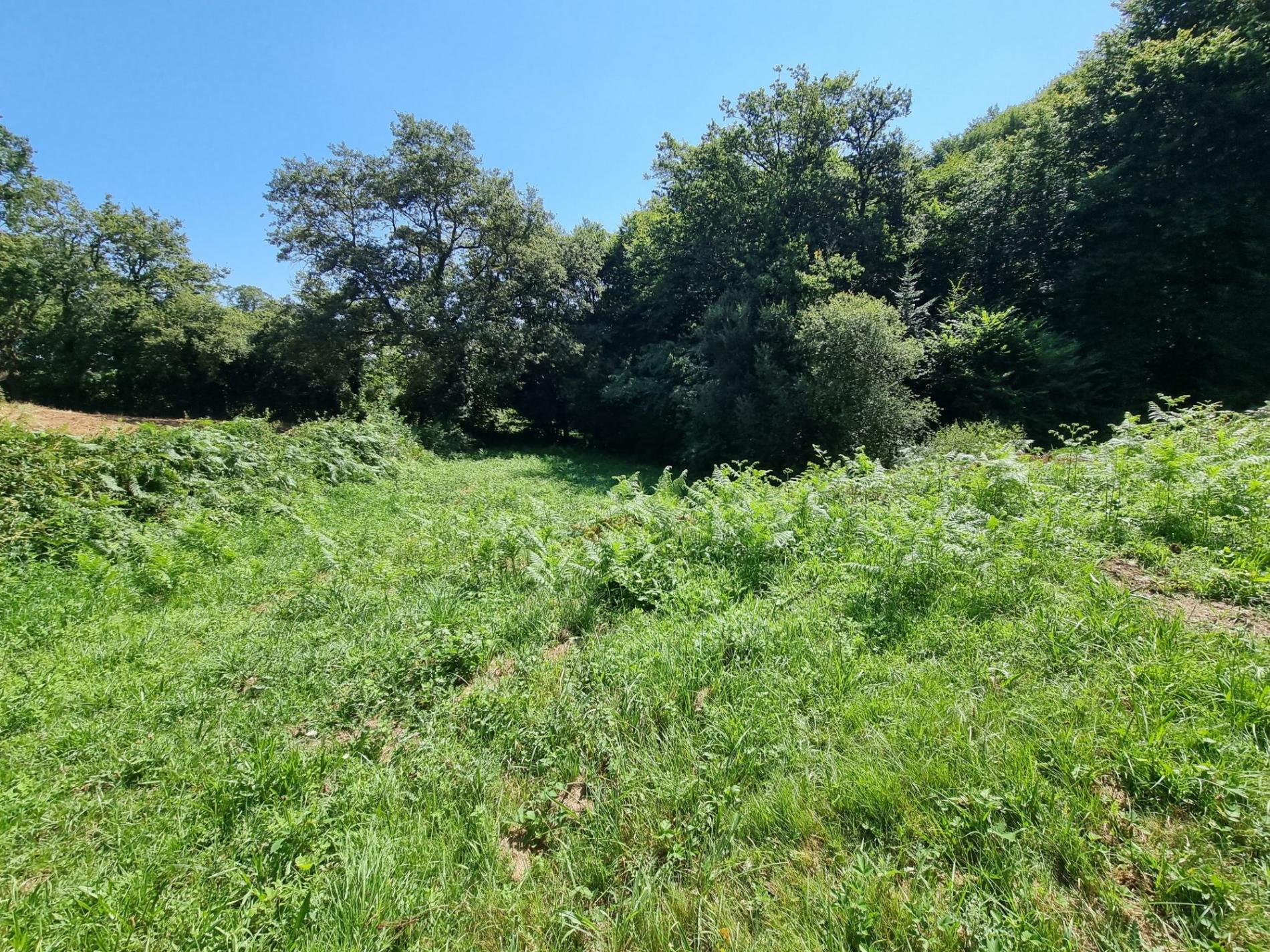 Deux étang isolés !