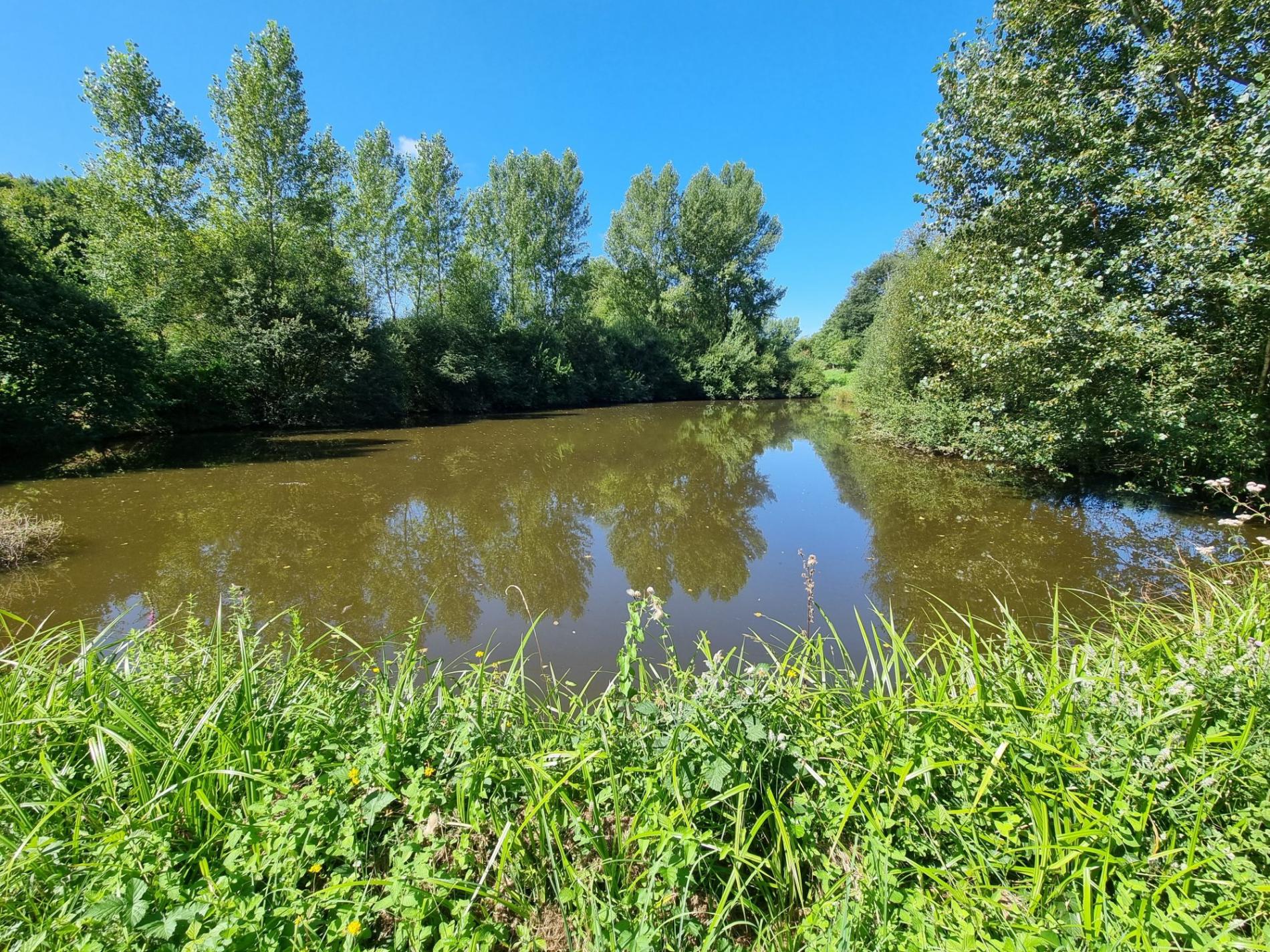 Deux étang isolés !