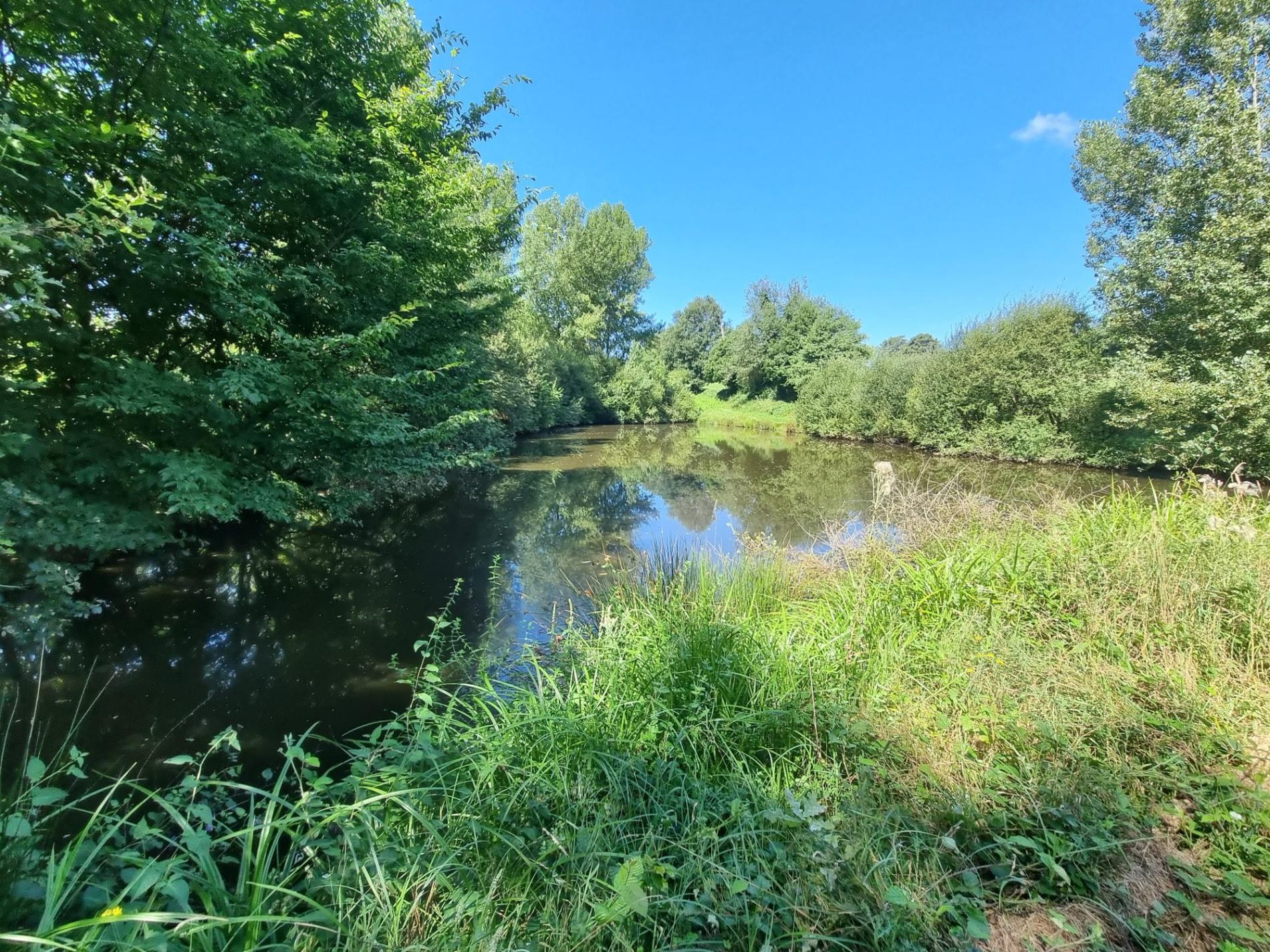 Deux étang isolés !