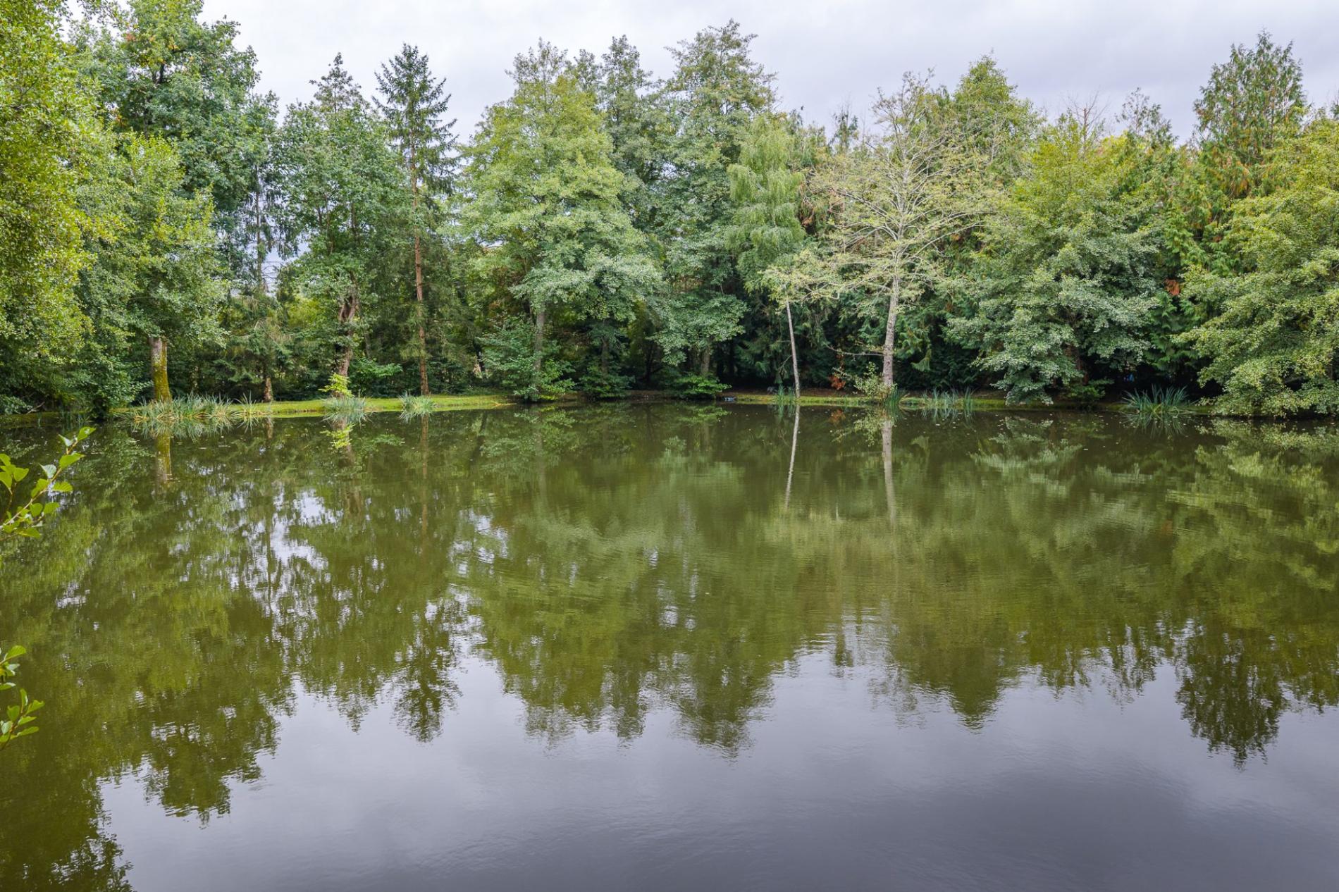 Petit étang en pleine nature !