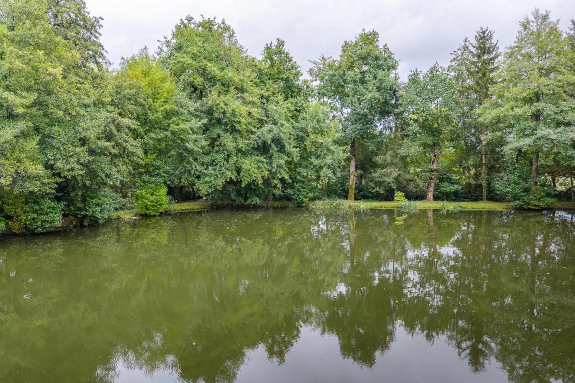 Petit étang en pleine nature !