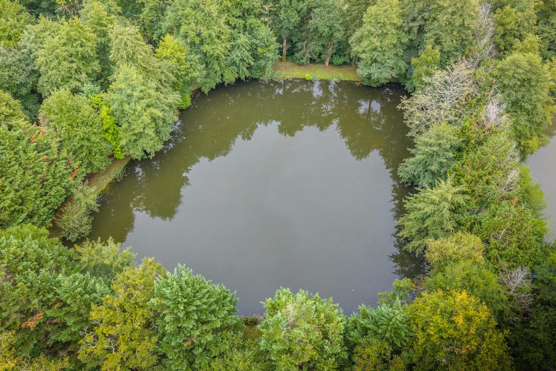 Petit étang en pleine nature !