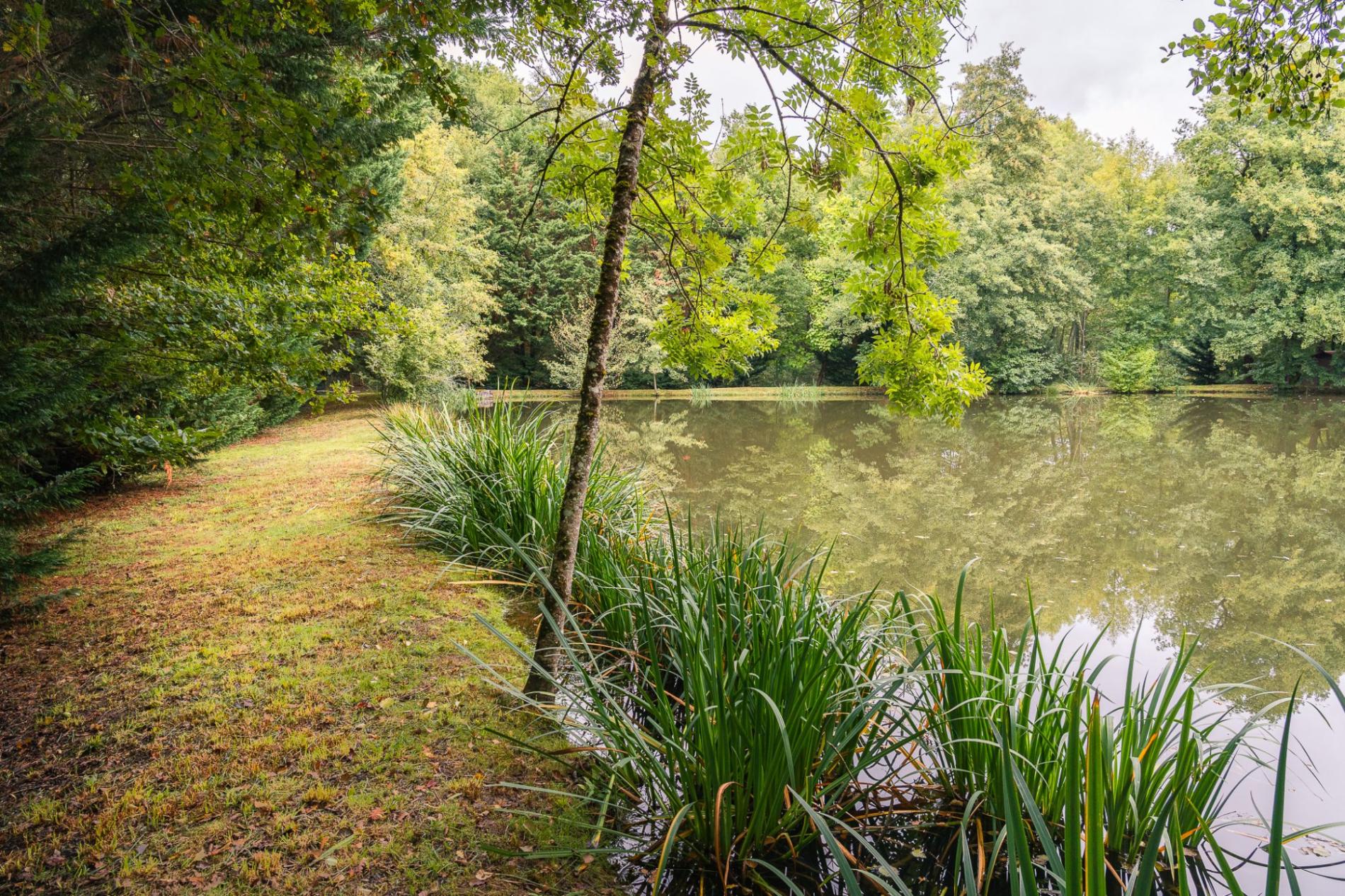 Petit étang en pleine nature !