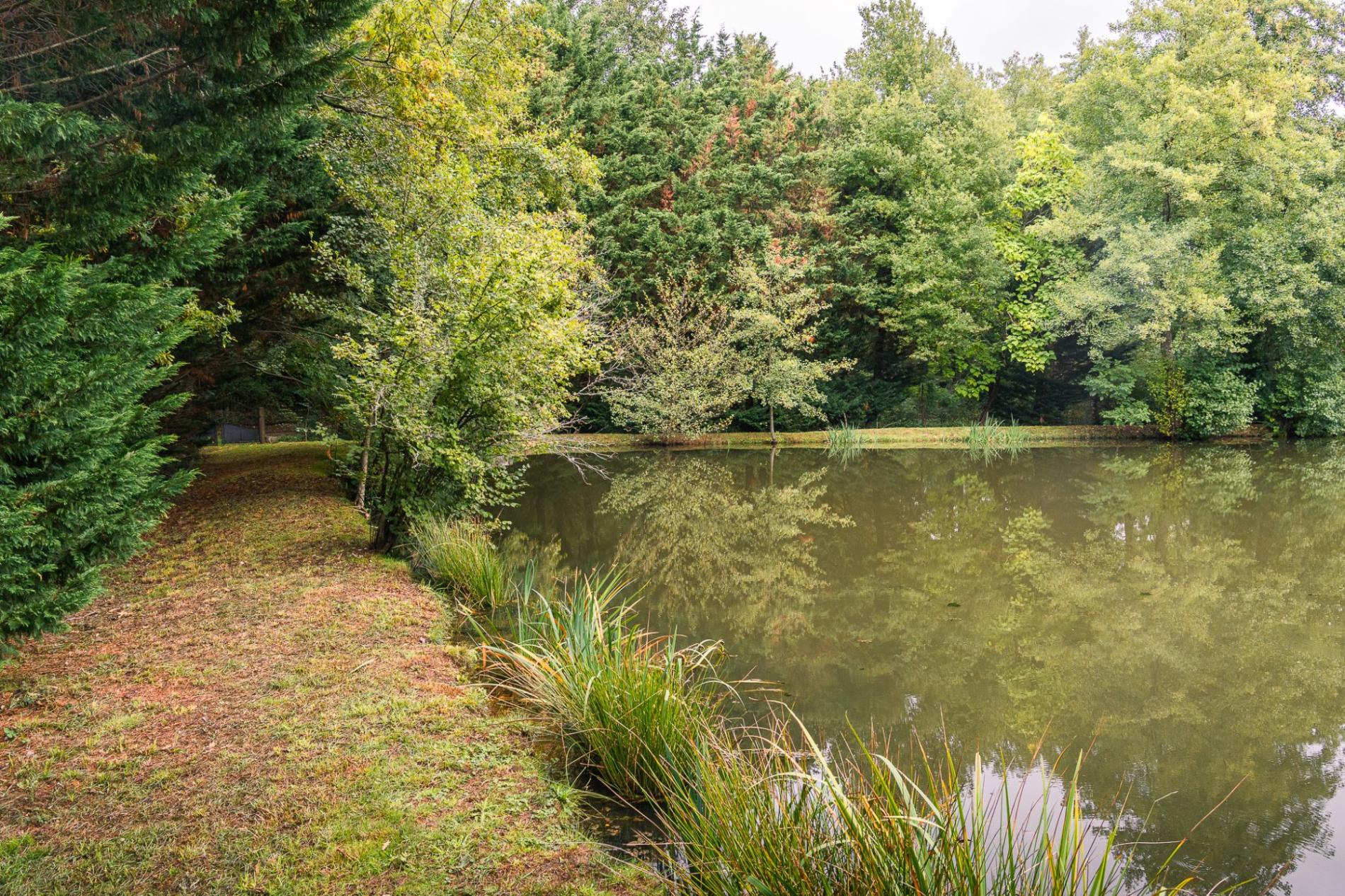 Petit étang en pleine nature !