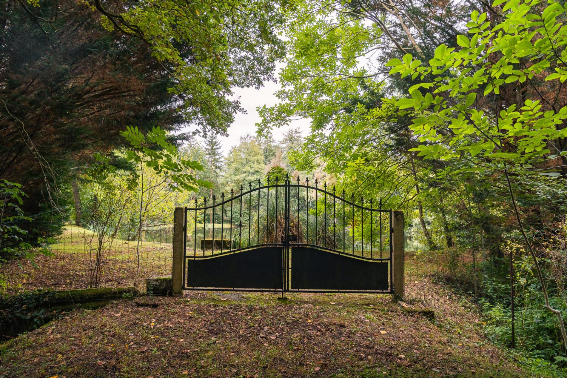 Petit étang en pleine nature !