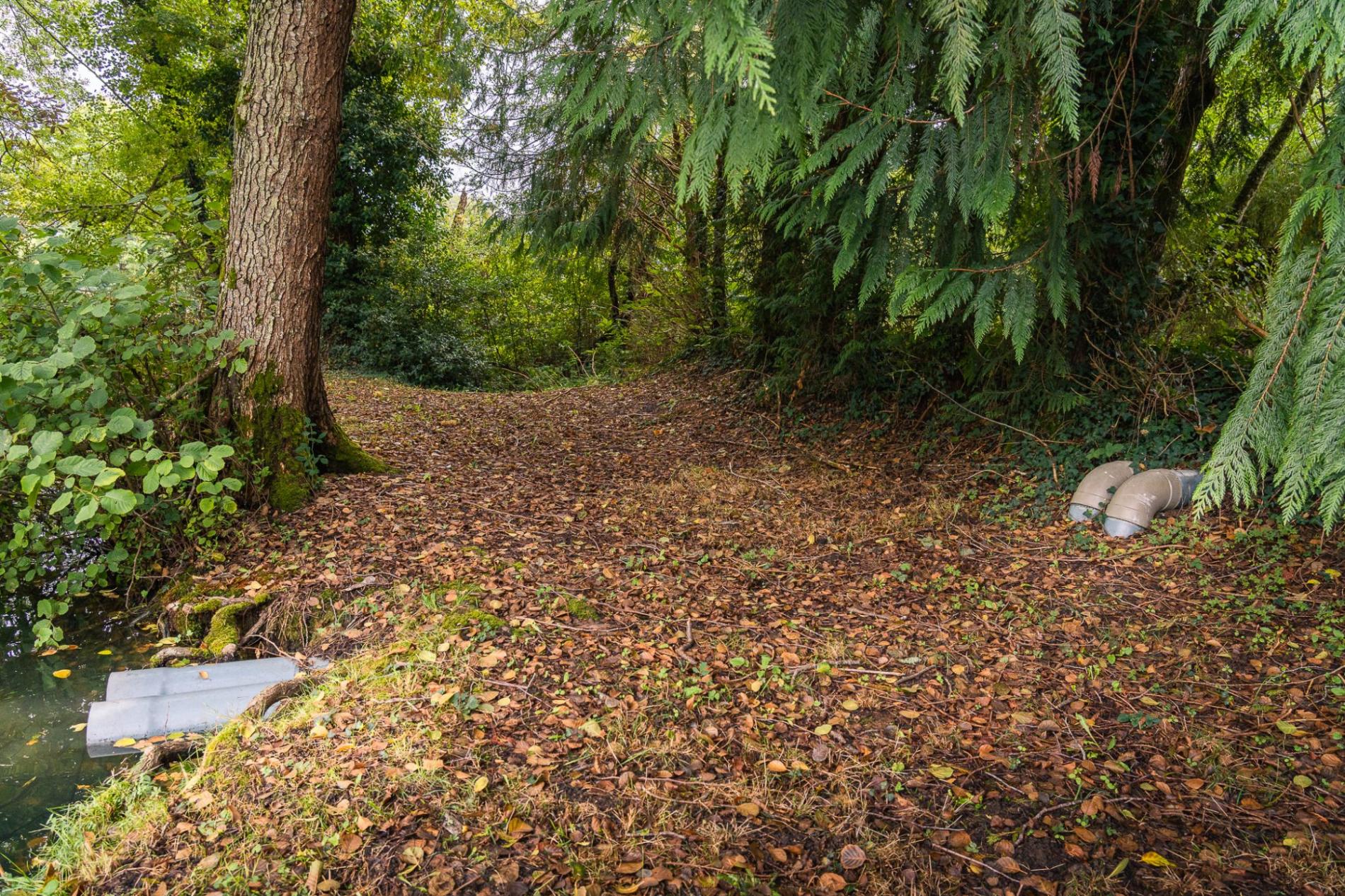 Petit étang en pleine nature !