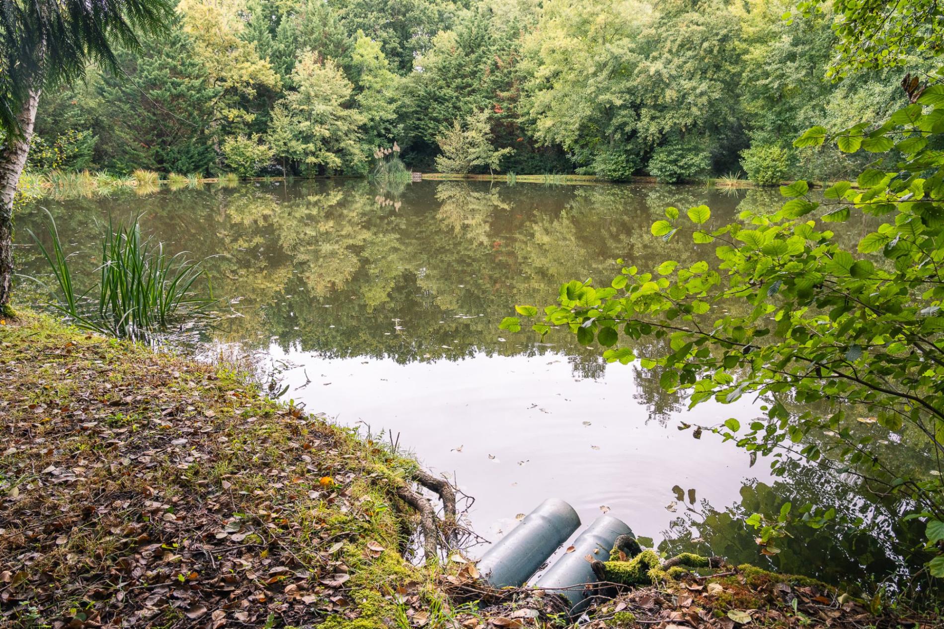Petit étang en pleine nature !