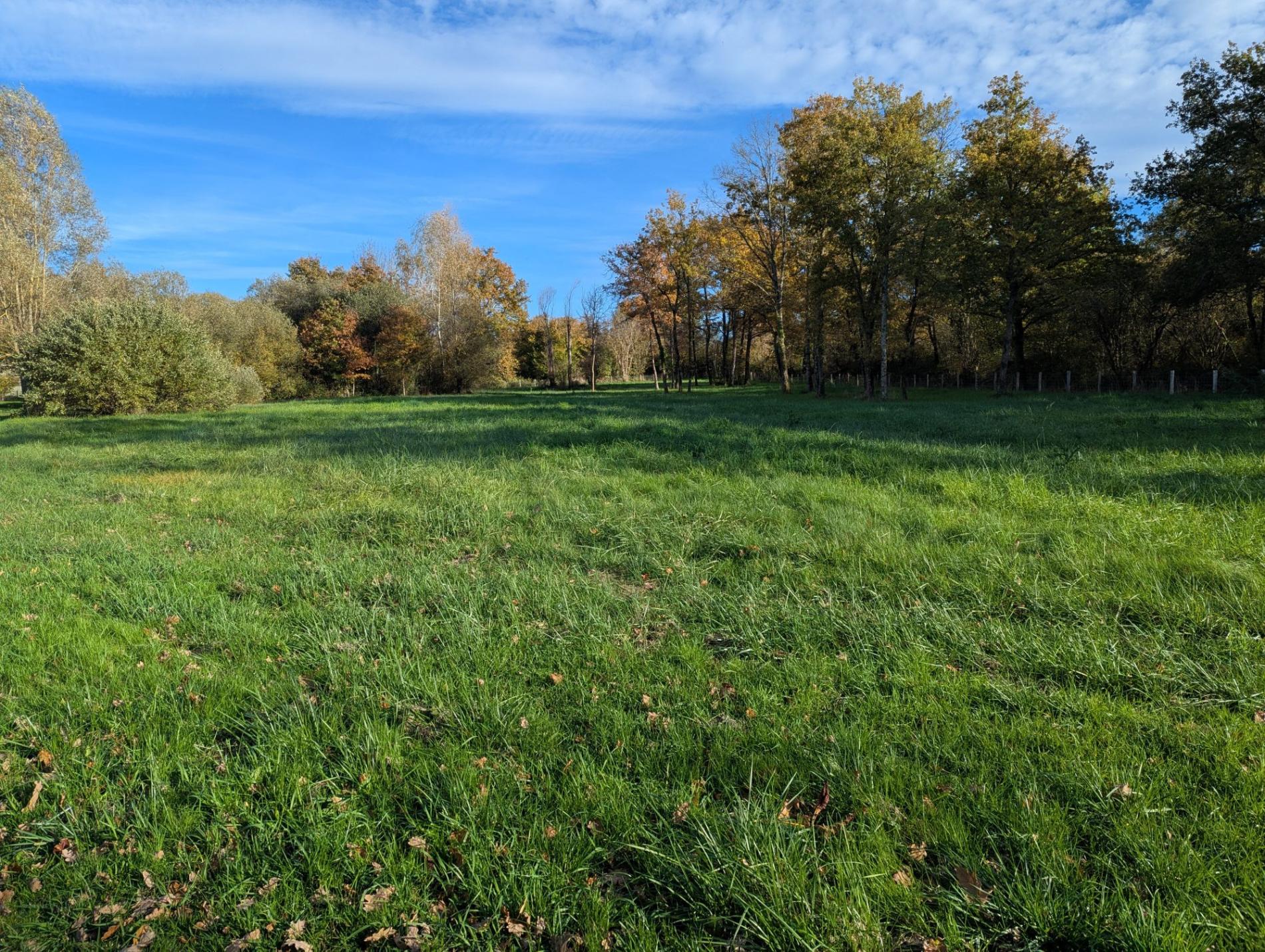 Petit coin de paradis !