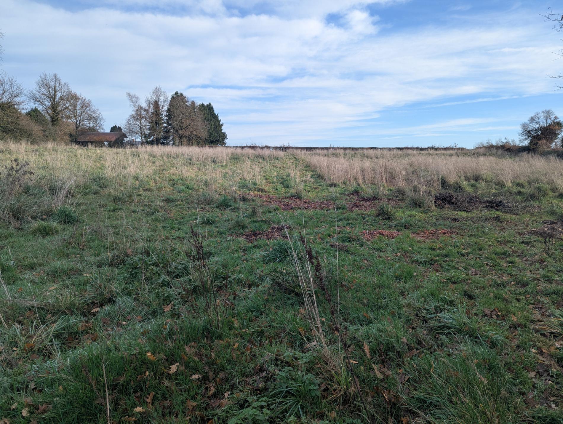 Maison de campagne avec étangs !
