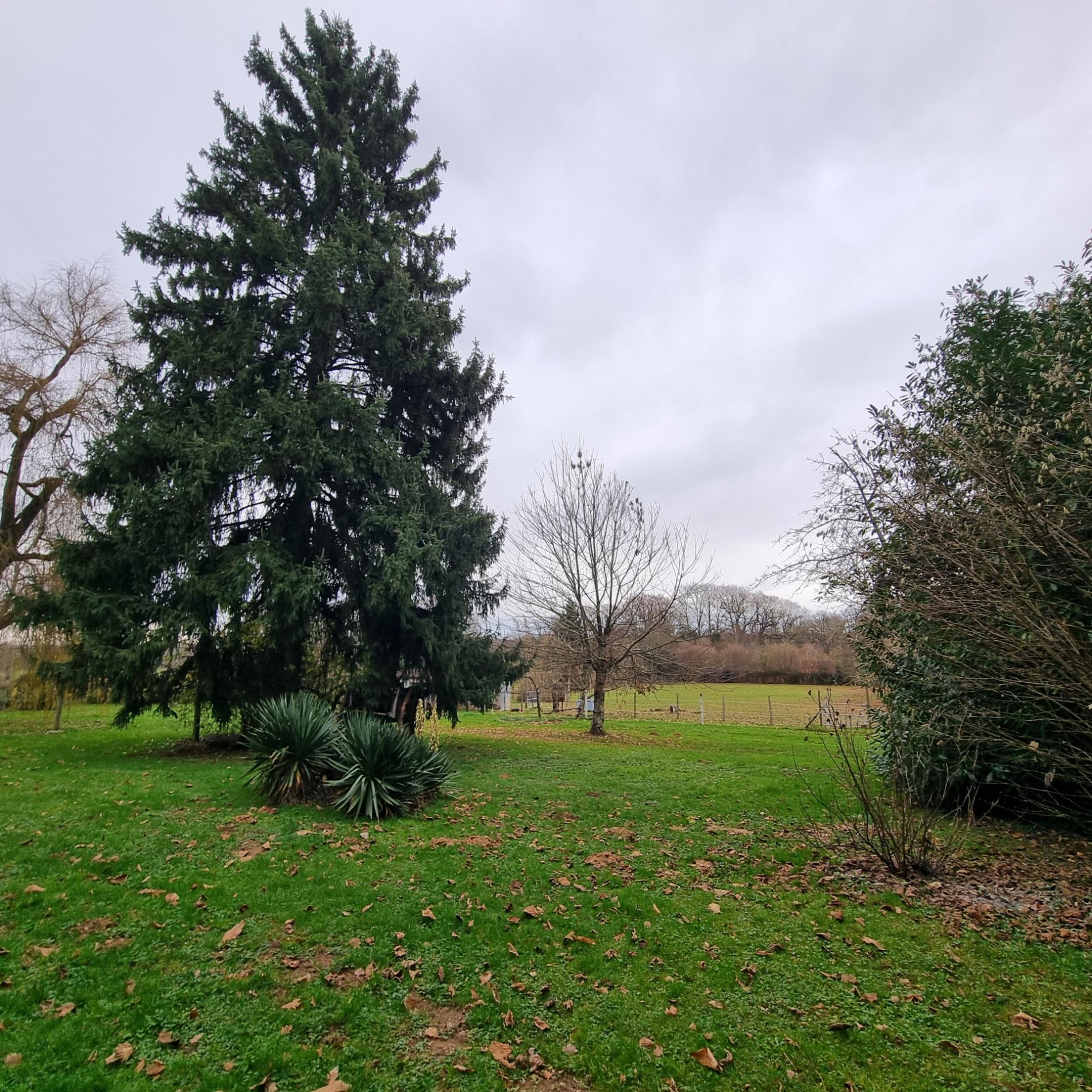 Magnifique longère rénovée