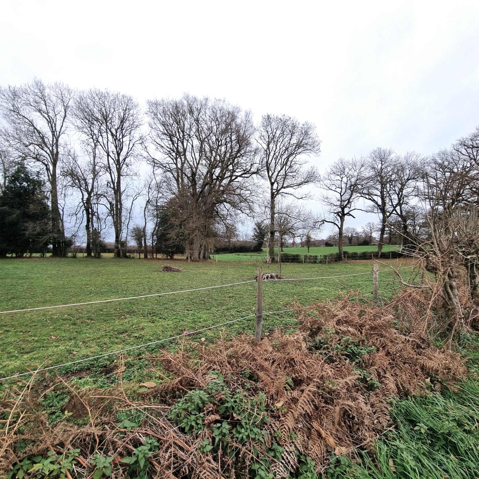 Maison de campagne à rénover !