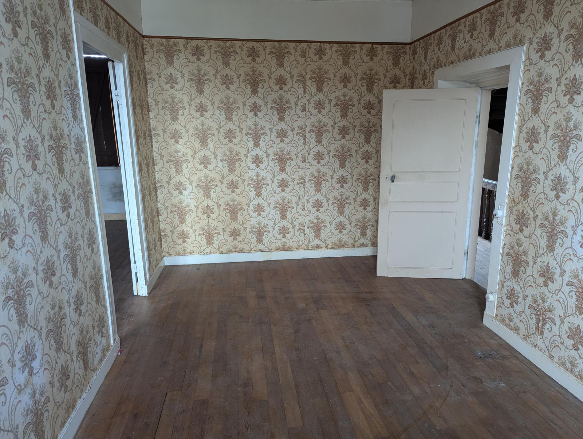 Grande maison de bourg à rénover !