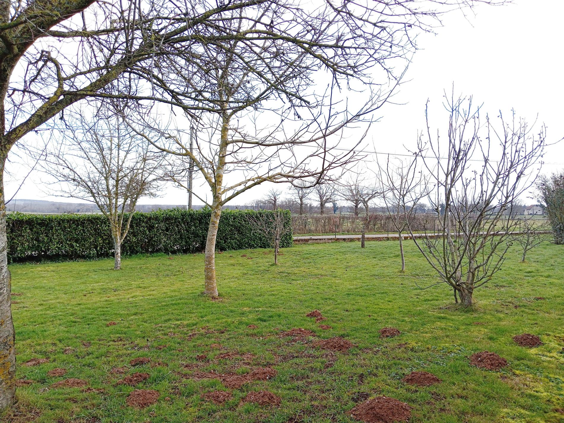 Maison secteur calme au nord de l'Allier !