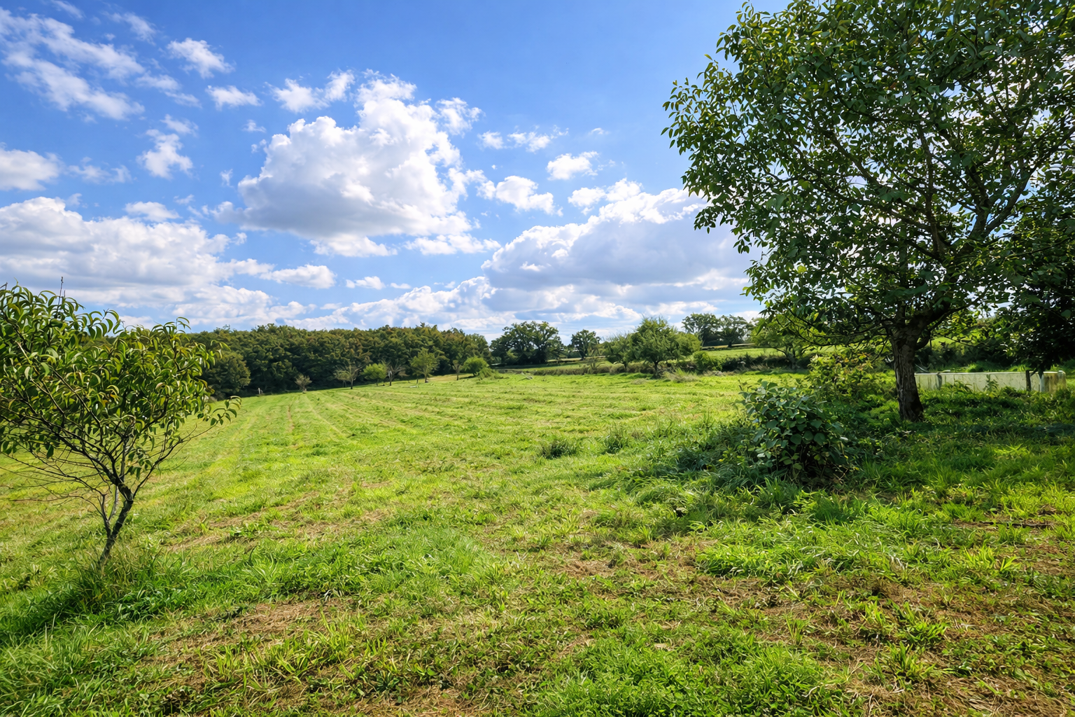Maison de campagne avec dépendance sur 14ha !