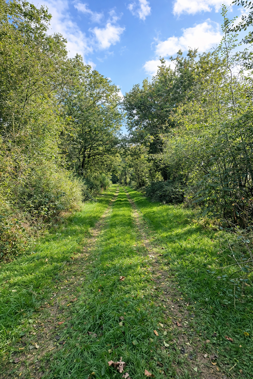 Maison de campagne avec dépendance sur 14ha !