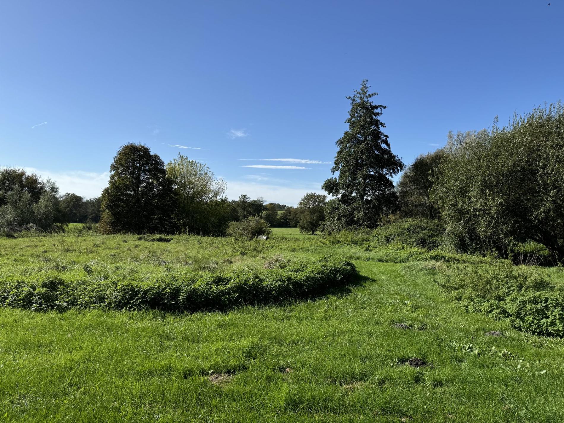 Propriété d'exception au Châtelet : 3,5 ha de nature avec piscine !