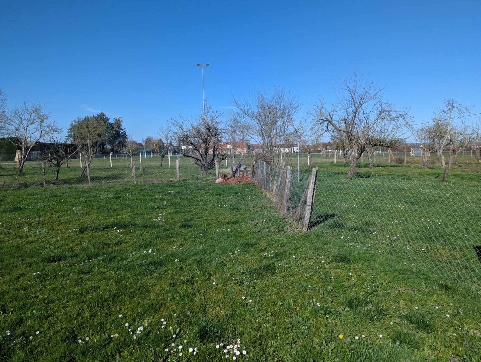Maison de bourg de plain-pied !