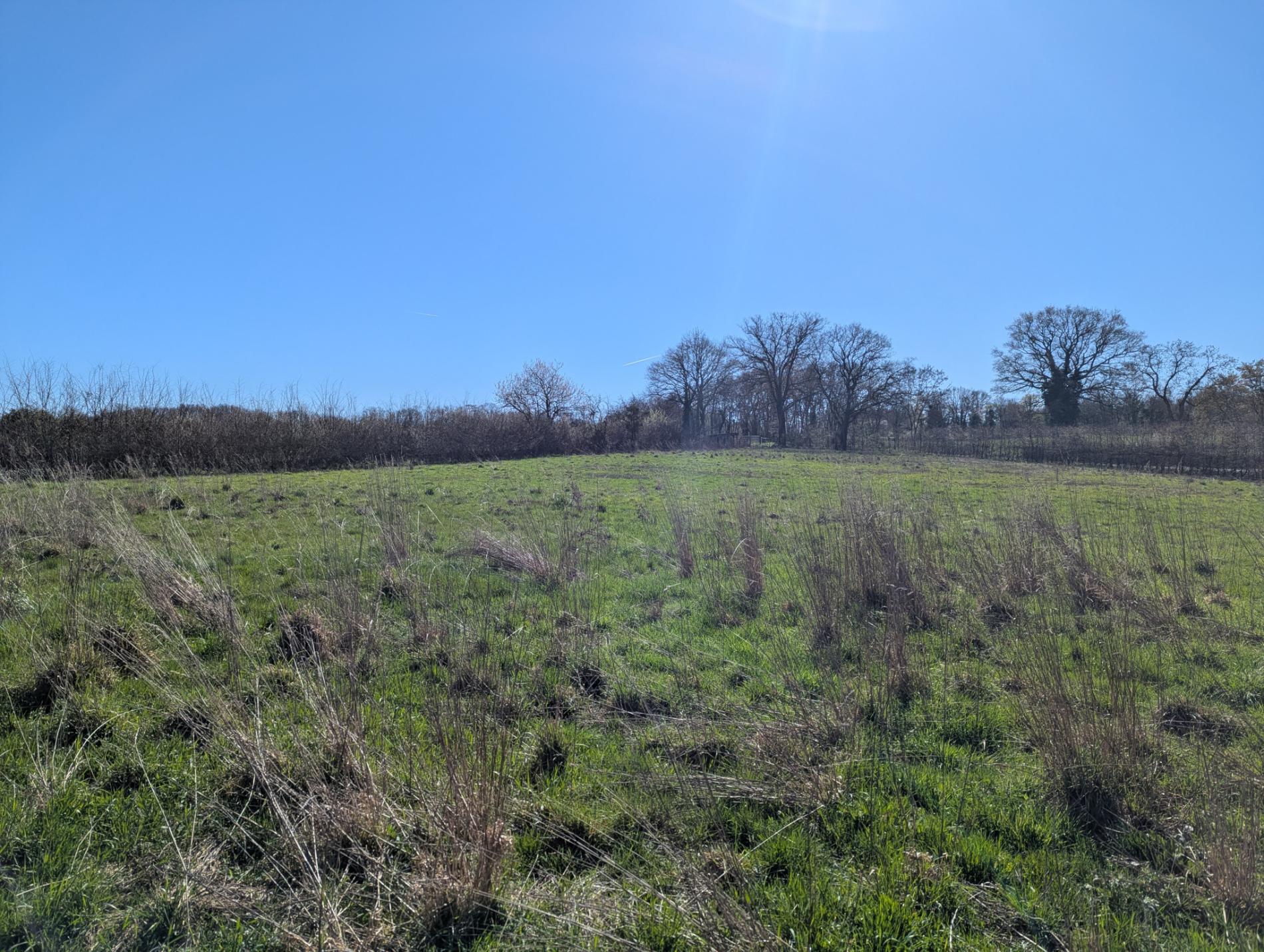 Domaine de caractère au cœur du Berry   charme, nature et sérénité !