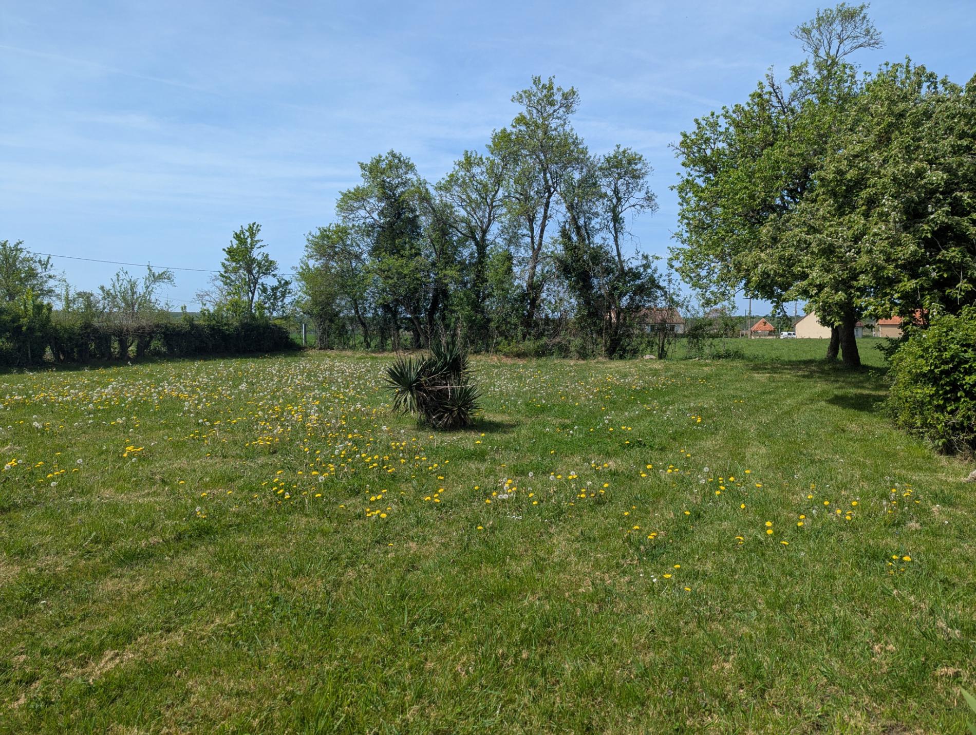 Maison de campagne avec ancienne ferme !