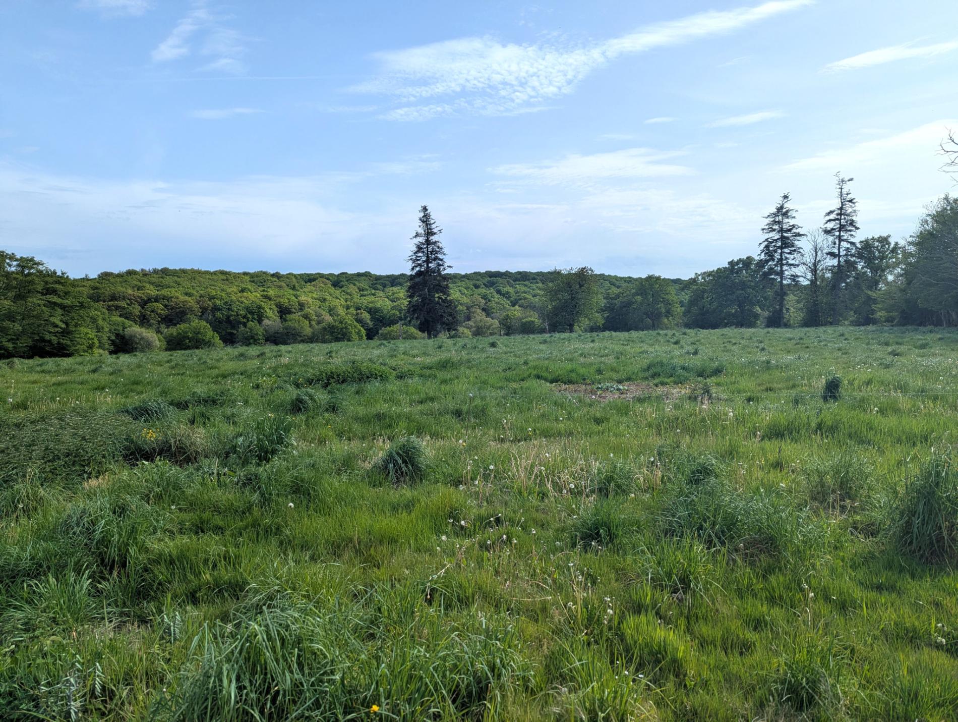 Maison de campagne avec grange à porteau sur 1ha5 !