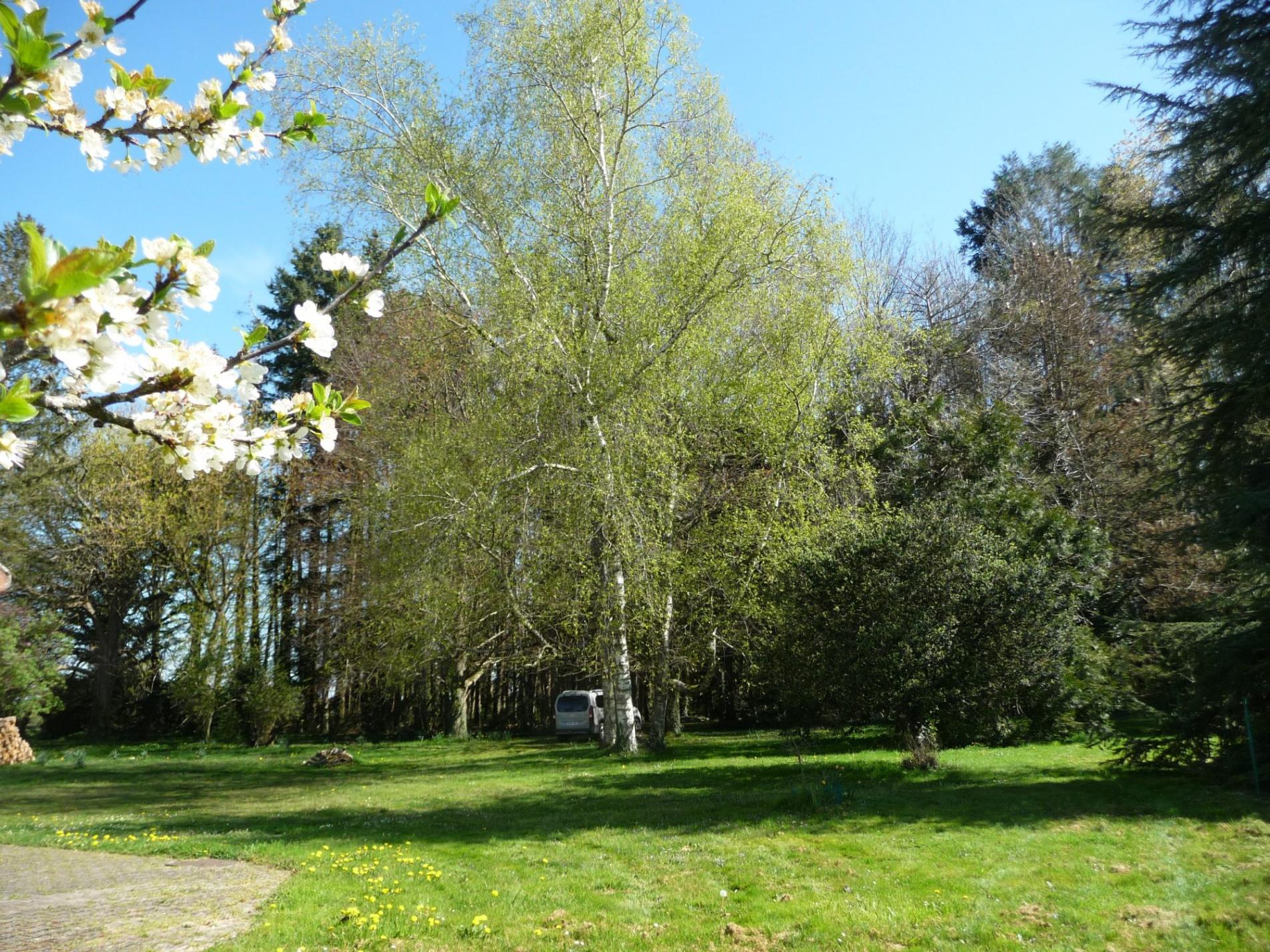 Maison de campagne sur 1,5 ha !