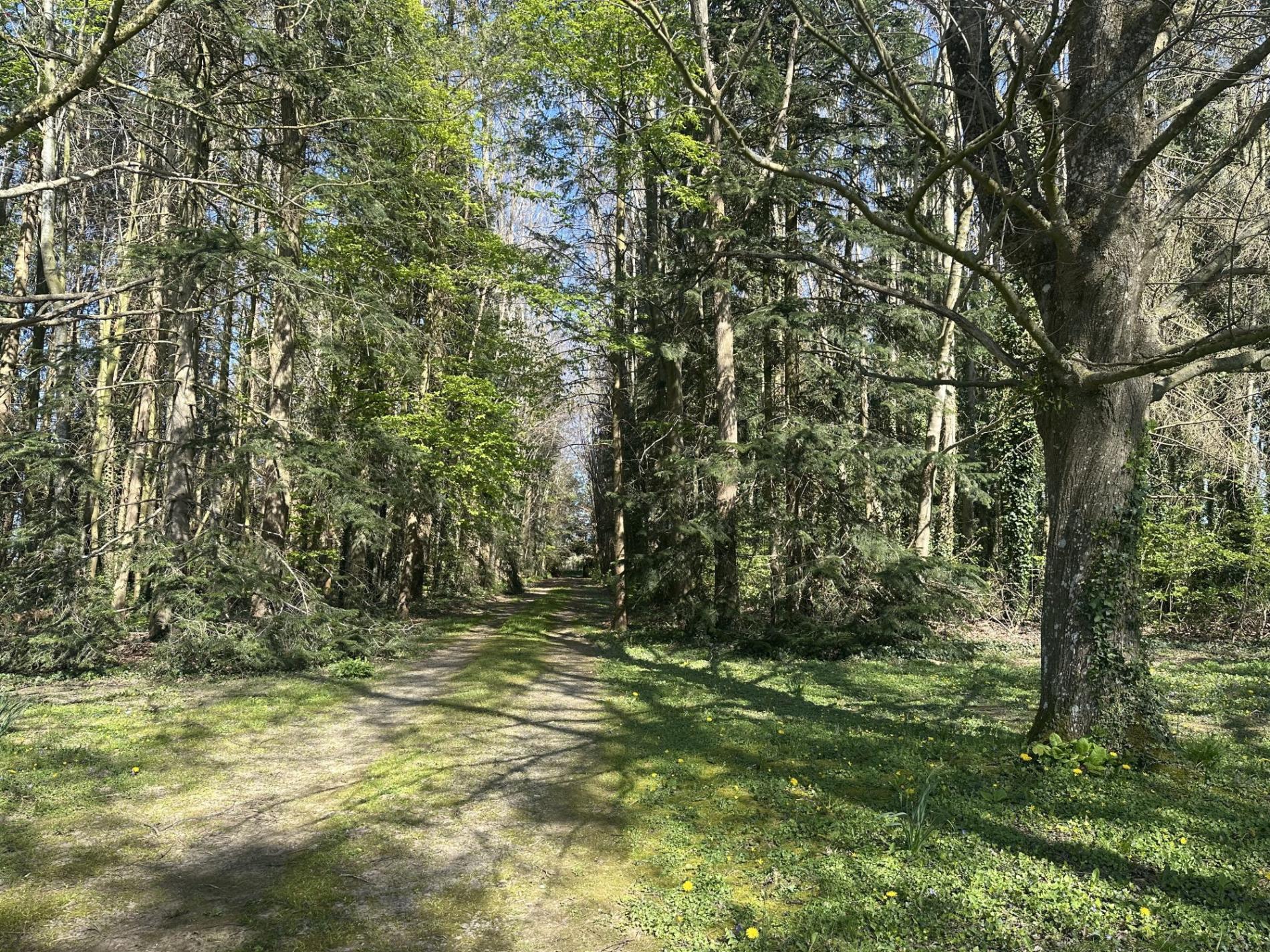Maison de campagne sur 1,5 ha !