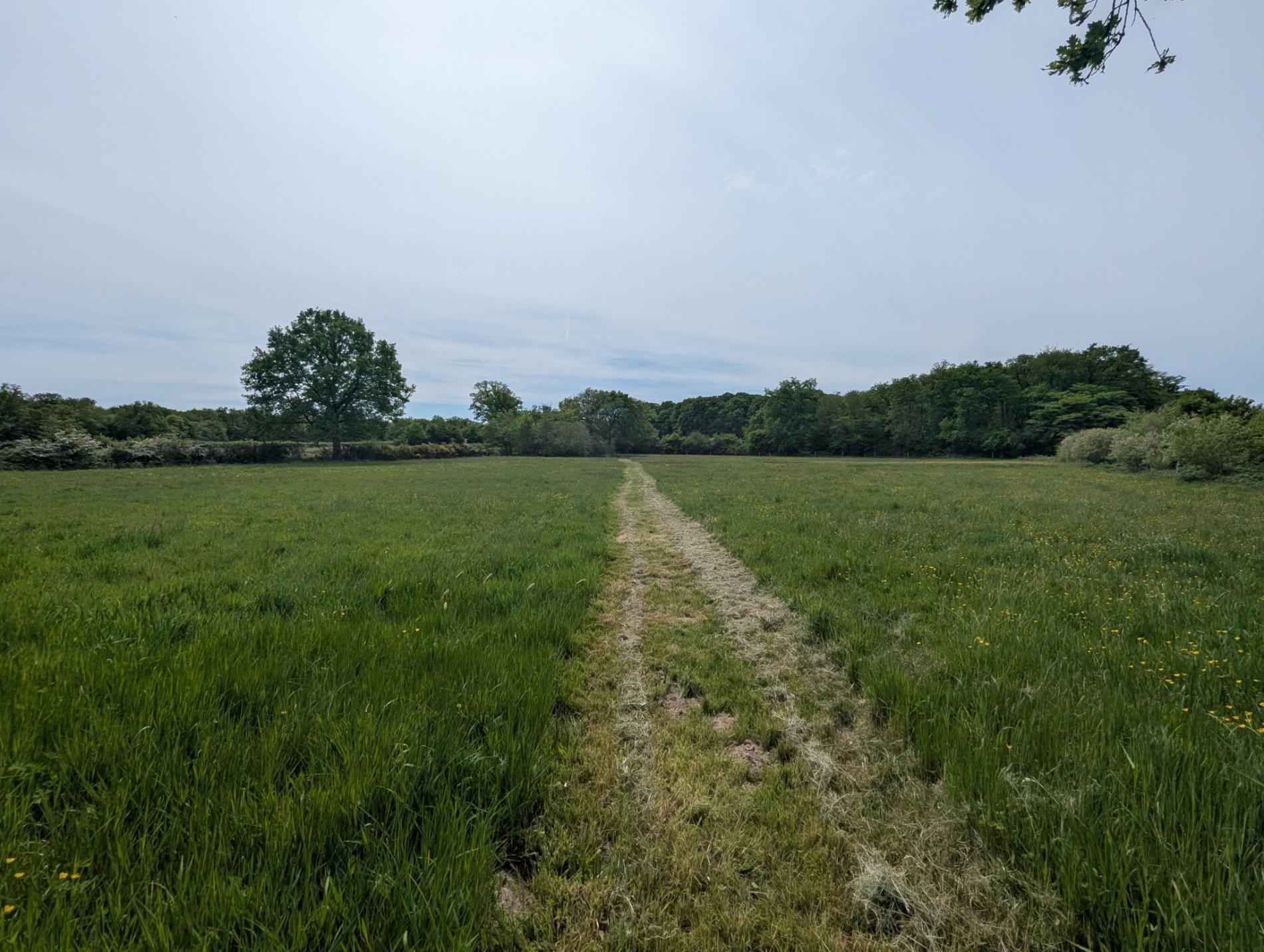 A 250m du 1er voisin, maison de campagne sur 5ha !