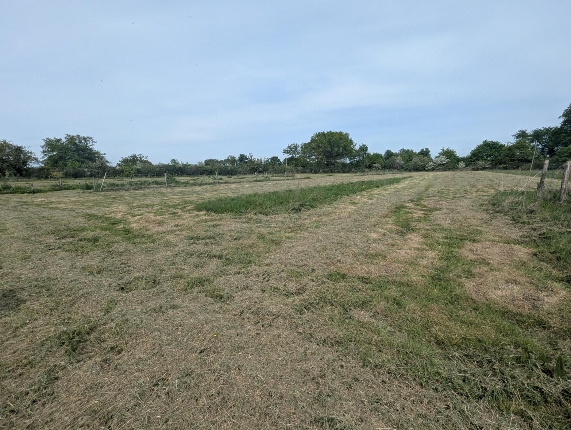 A 250m du 1er voisin, maison de campagne sur 5ha !