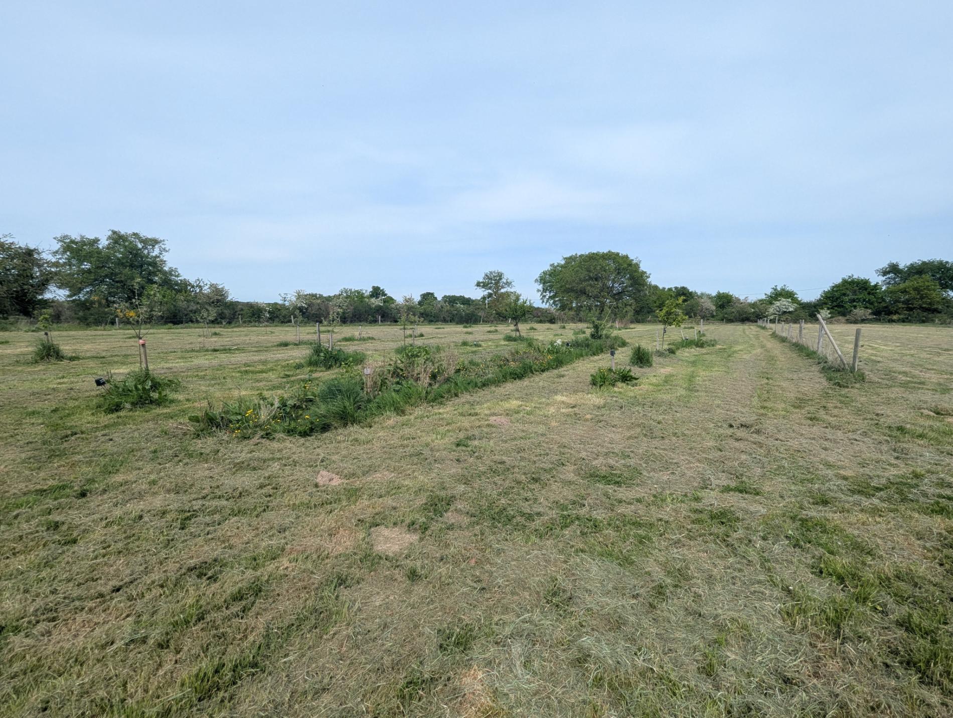 A 250m du 1er voisin, maison de campagne sur 5ha !