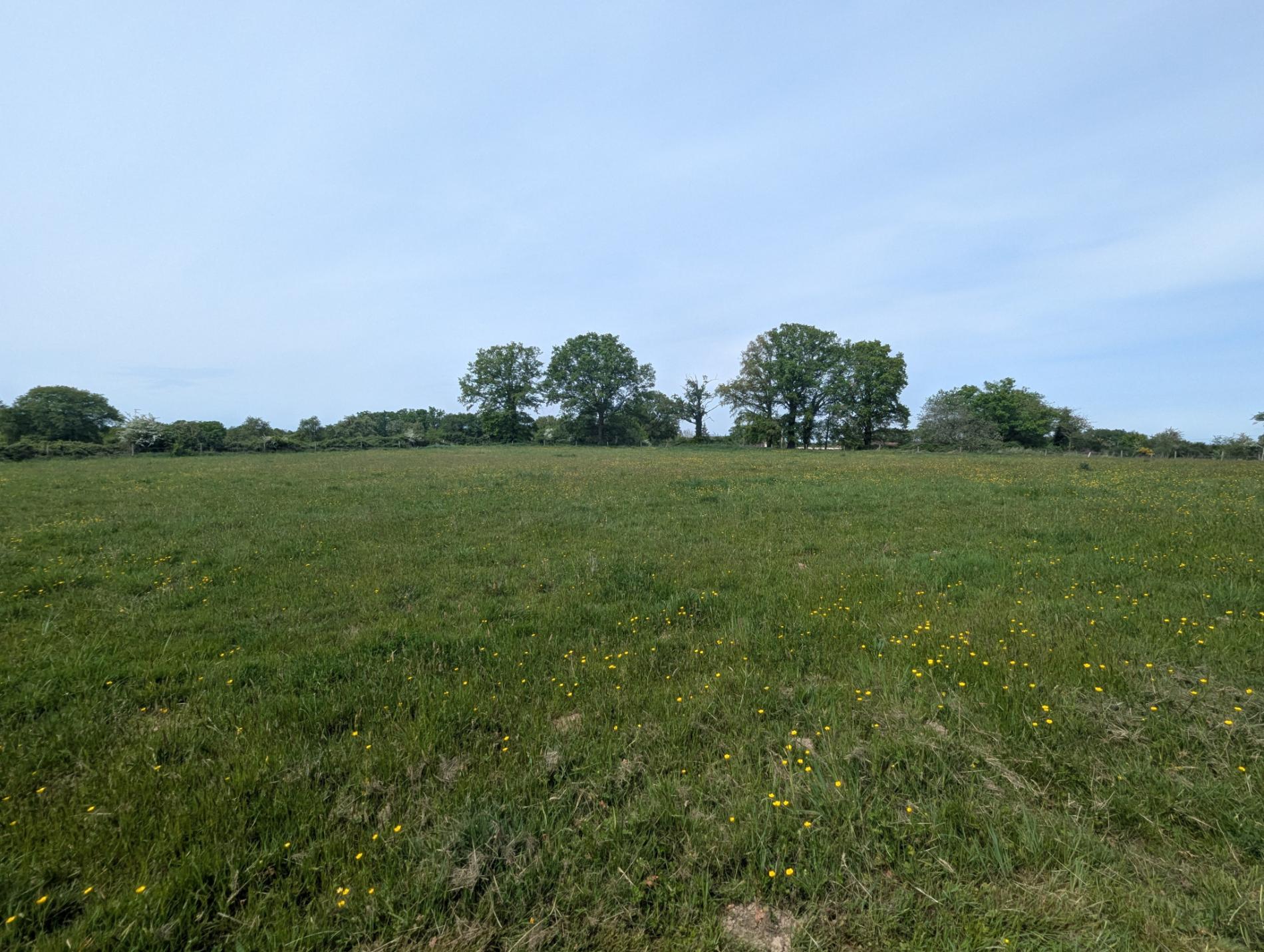 A 250m du 1er voisin, maison de campagne sur 5ha !