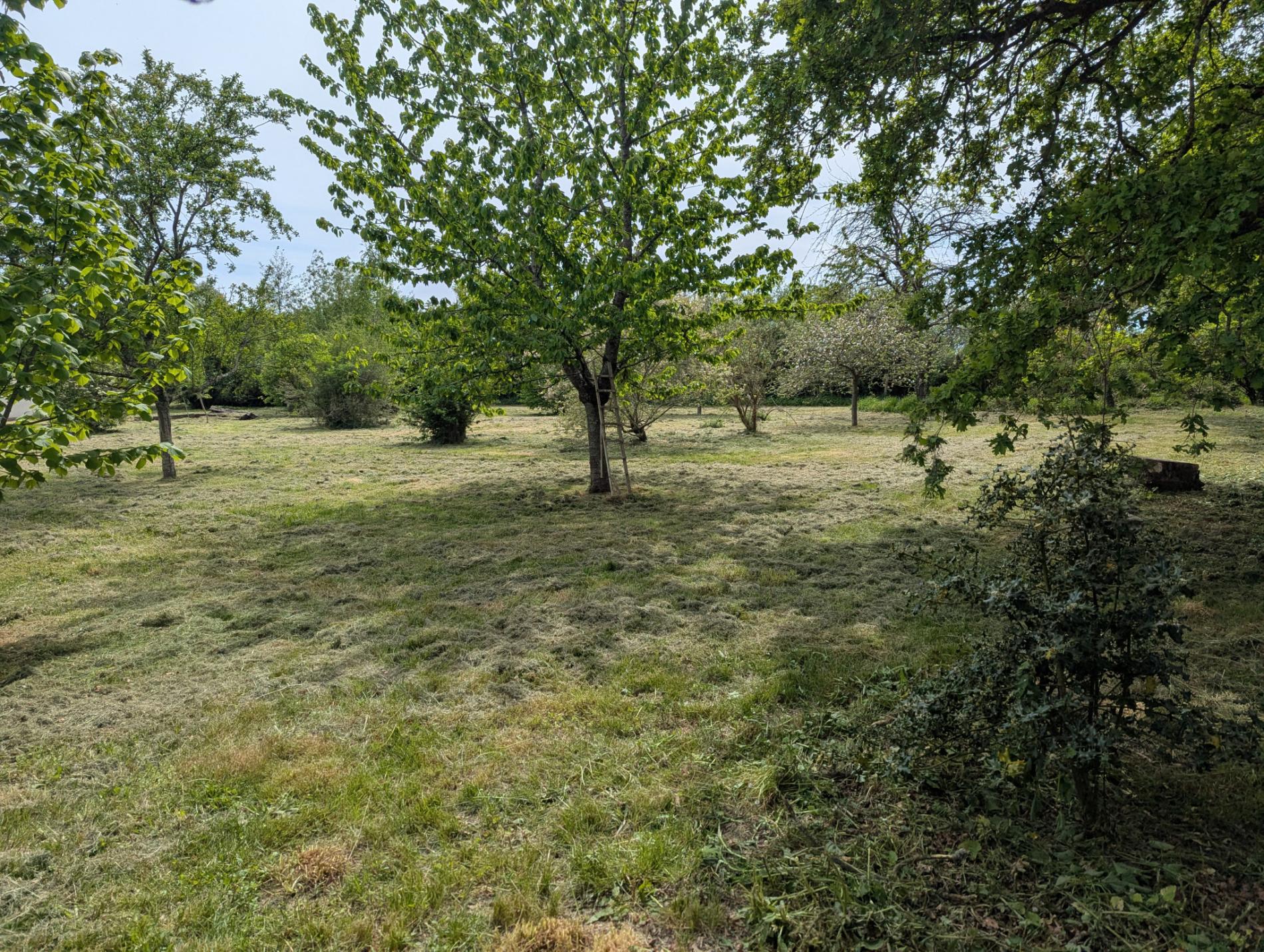 A 250m du 1er voisin, maison de campagne sur 5ha !
