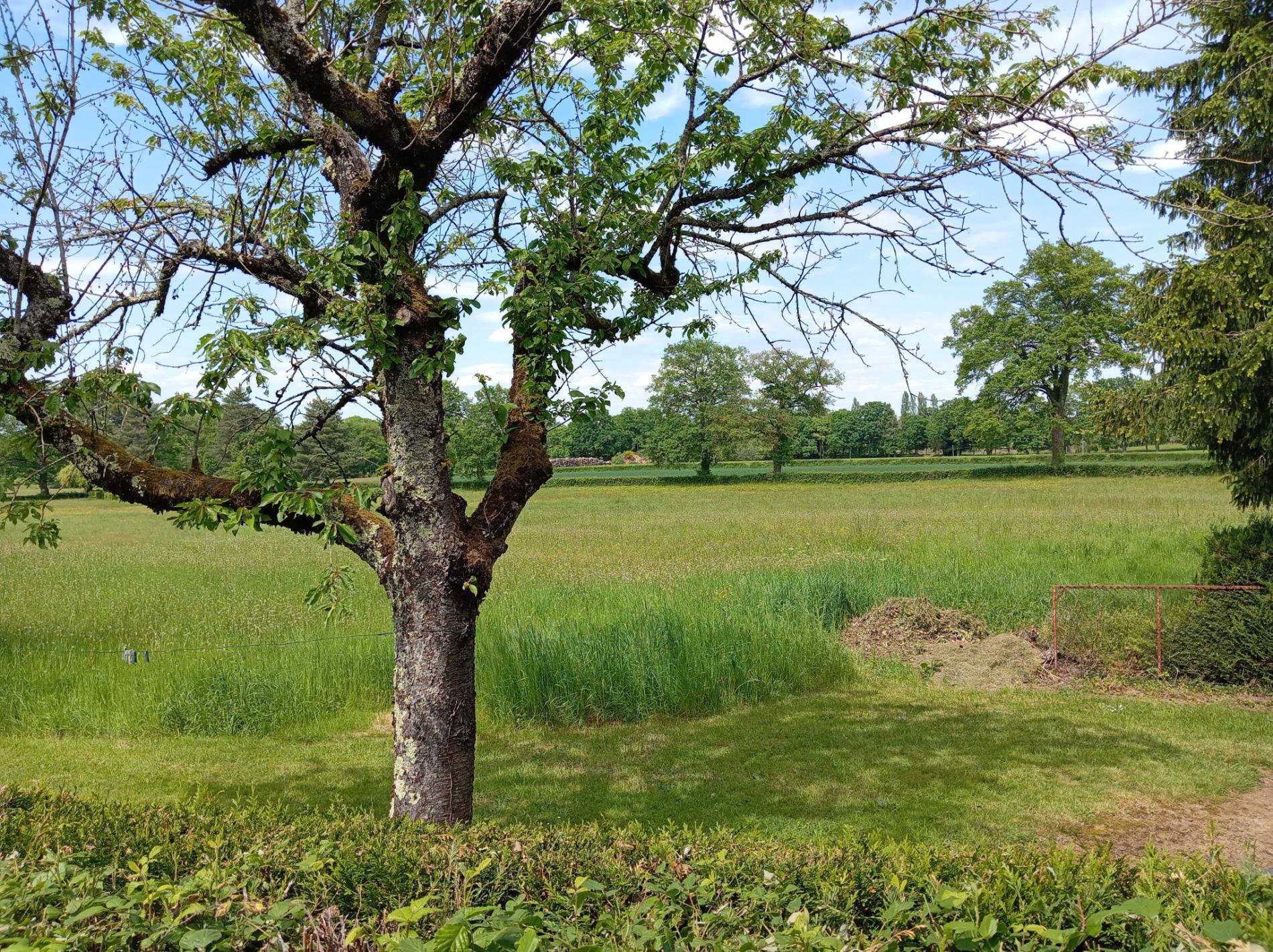 Maison à rénover sur 2.5 ha
