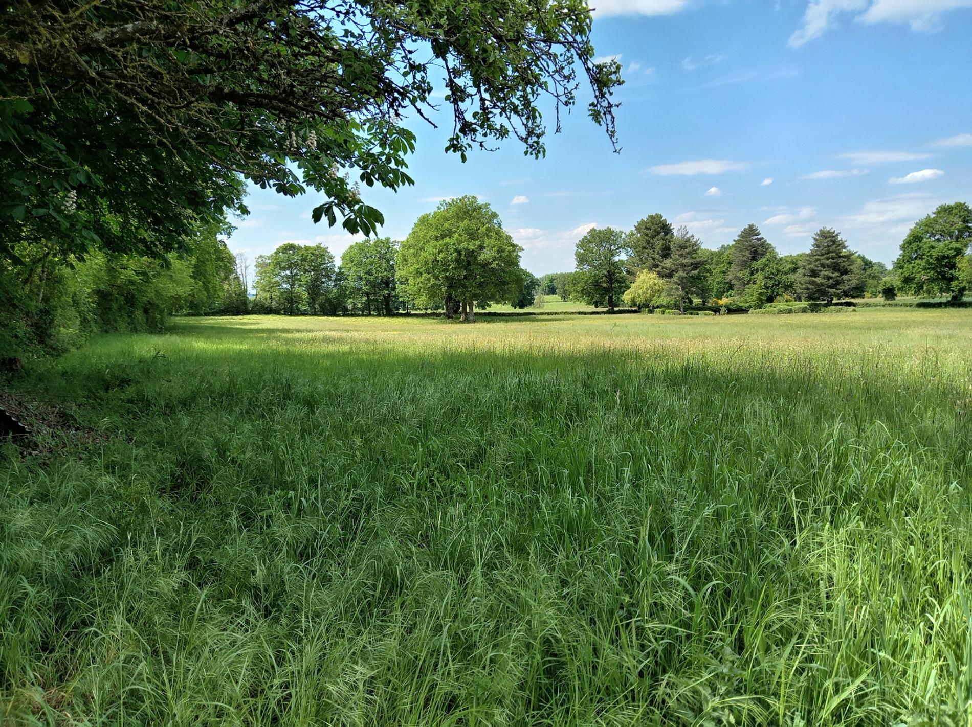 Maison à rénover sur 2.5 ha