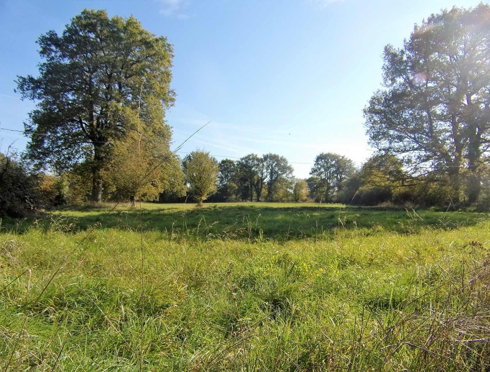 Maison de campagne sur 14 hectares à 280m du 1er voisin !