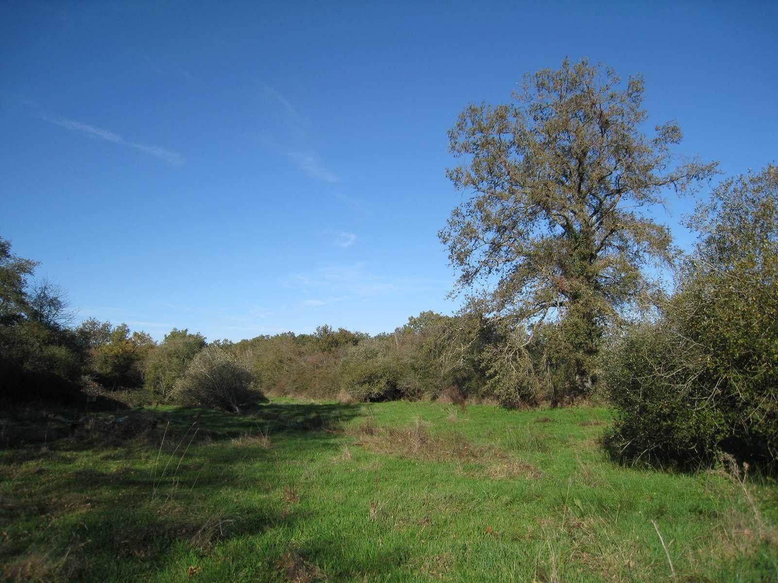 Maison de campagne sur 14 hectares à 280m du 1er voisin !